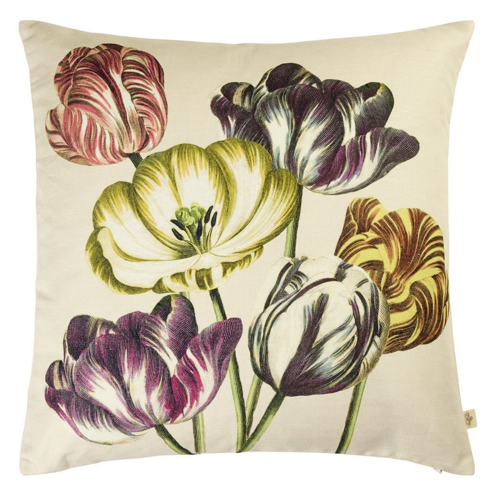 Variegated Tulips Cushion In Buttermilk By John Derian